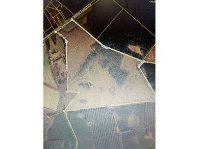 (private lake, pond, coastal) Acreage For Sale in Rowesville South Carolina
