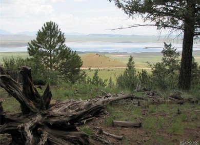 Lake Lot For Sale in Hartsel, Colorado