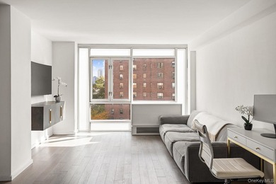 East River Condo For Sale in New York (Manhattan) New York