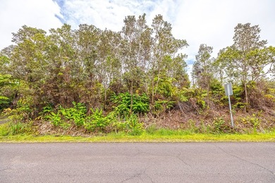 Enjoy two adjacent lots (front and back) in Ohia Estates. Sale - photo 1