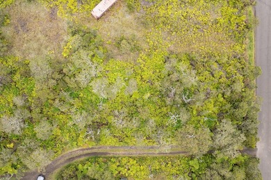 Enjoy two adjacent lots (front and back) in Ohia Estates. Sale - photo 4