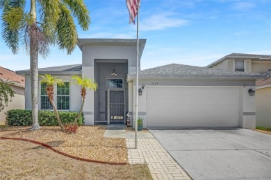 Lake Home Sale Pending in Apollo Beach, Florida
