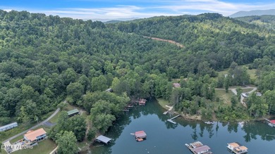 Lake Retreat with Views and Water Access - 237 Blue Ridge Road - photo 2