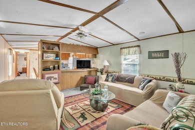 Lake Retreat with Views and Water Access - 237 Blue Ridge Road - photo 7