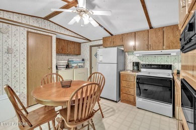Lake Retreat with Views and Water Access - 237 Blue Ridge Road - photo 8