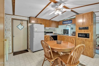 Lake Retreat with Views and Water Access - 237 Blue Ridge Road - photo 9