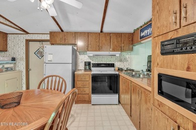Lake Retreat with Views and Water Access - 237 Blue Ridge Road - photo 10