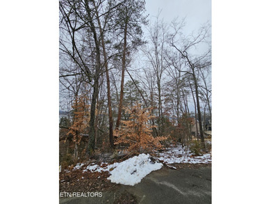 Douglas Lake Lot For Sale in Baneberry Tennessee