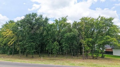 71 acre lot in newer gated community on Cedar Creek Lake with - photo 14