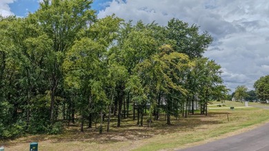 71 acre lot in newer gated community on Cedar Creek Lake with - photo 16