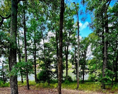 Lake Lot For Sale in Cross Hill, South Carolina