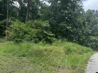 Lake Lot For Sale in Mountain Home, Arkansas