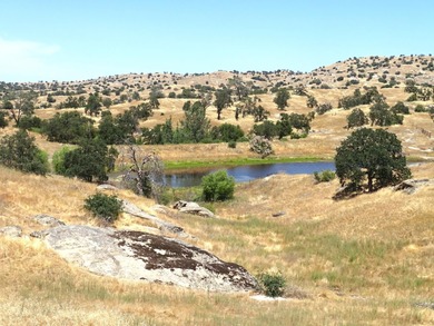 (private lake, pond, creek) Acreage For Sale in Madera California