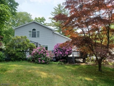 The Lake House you've been looking for!!! Being offered for sale - Lake Home For Sale in Vernon Twp., New Jersey