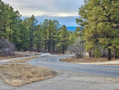 Lake Forest Lot For Sale in Pagosa Springs Colorado