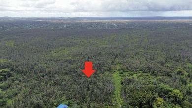 Rare Square 3-Acre Parcel at the Dead End of 40th Ave - Backs to - photo 3