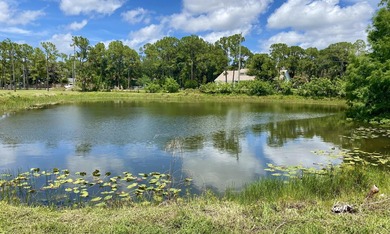 Rare opportunity to own a 3/2 home situated on 2.5 beautiful - photo 5
