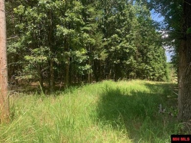Lake Lot For Sale in Protem, Arkansas