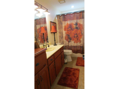 This owner-occupied home has benefited from being appreciated by - photo 20