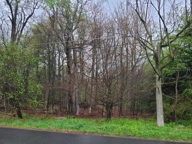 Lake Carobeth Lot For Sale in Tobyhanna Pennsylvania