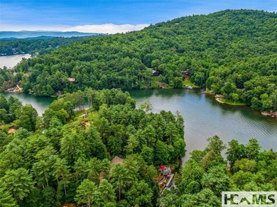 Experience lakeside luxury in this magnificently updated - photo 48