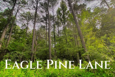 Broken Bow Lake Lot For Sale in Broken Bow Oklahoma