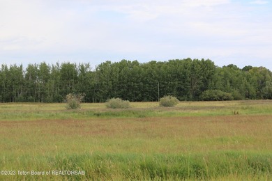 This remarkable 50.62-acre parcel truly checks every - photo 5