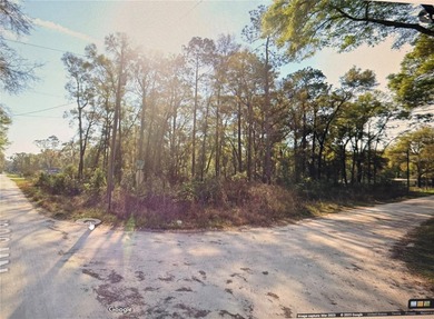 Lake Rousseau Lot For Sale in Dunnellon Florida