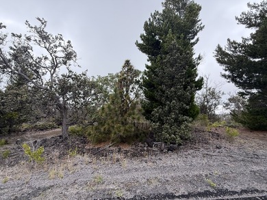 Discover unmatched potential elevated views from this 1-acre - photo 3