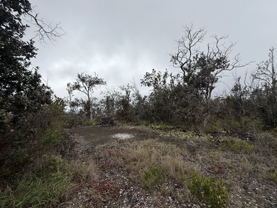 Discover unmatched potential elevated views from this 1-acre - photo 5