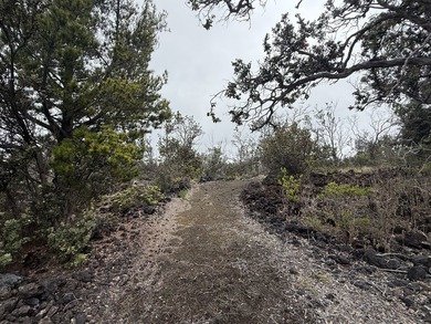 Discover unmatched potential elevated views from this 1-acre - photo 8