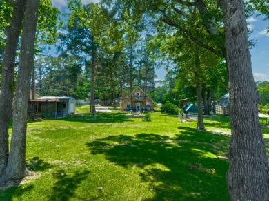 Waterfront Cottage Retreat with Guest Quarters on Lake Palestine - photo 40