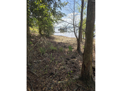 Lake Murray Lot For Sale in Chapin South Carolina