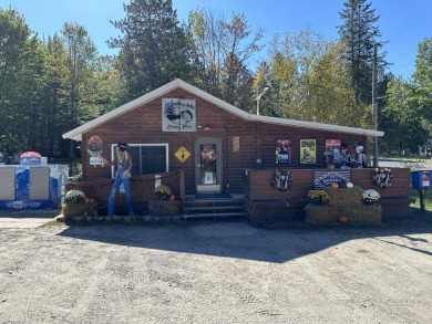 Starvation Lake Commercial For Sale in Mancelona Michigan