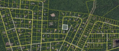 Lake Lot For Sale in Albrightsville, Pennsylvania
