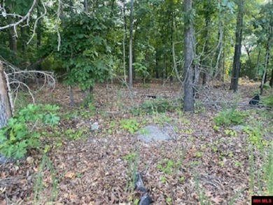 Lake Lot For Sale in Bull Shoals, Arkansas