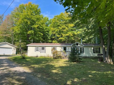 Manuka Lake Home Sale Pending in Gaylord Michigan