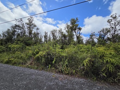 Located on the first road in the subdivision, this property is - photo 5