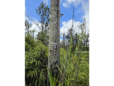 Located on the first road in the subdivision, this property is - photo 7