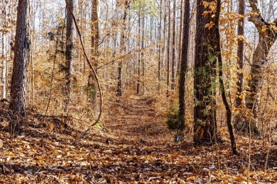 (private lake, pond, coastal) Lot For Sale in Abbeville South Carolina