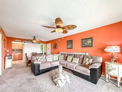 BEAUTIFULLY UPDATED LAKEVIEW CONDO WITH IMPACT GLASS PATIO/LANAI - photo 9