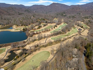 Beautiful wooded lot that backs up to Hole #16 at Cliffs Valley - photo 11