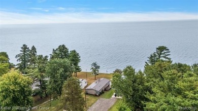 Lake Home For Sale in Lexington, Michigan