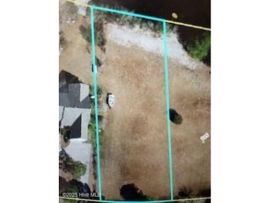 Lake Lot For Sale in Harrells, North Carolina