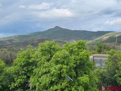 (private lake, pond, creek) Lot For Sale in Crawford Colorado