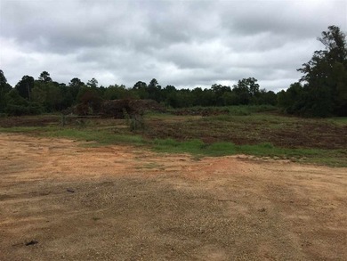 (private lake, pond, creek) Commercial For Sale in Forest Mississippi