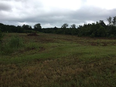 Divisible acreage in high traffic area on a major US Highway 80 - photo 4