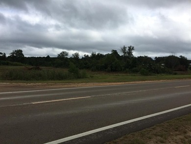 Divisible acreage in high traffic area on a major US Highway 80 - photo 5