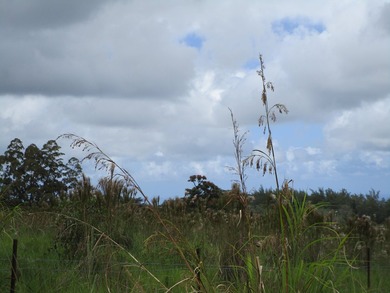 Huge upside potential for this 23.44 fee simple acres of land - photo 3