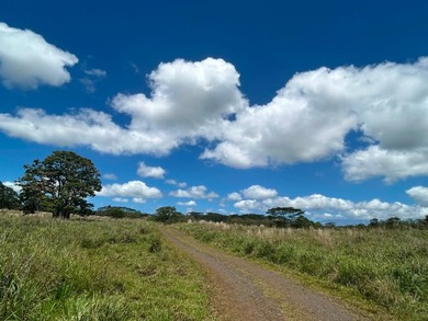 Huge upside potential for this 23.44 fee simple acres of land - photo 8